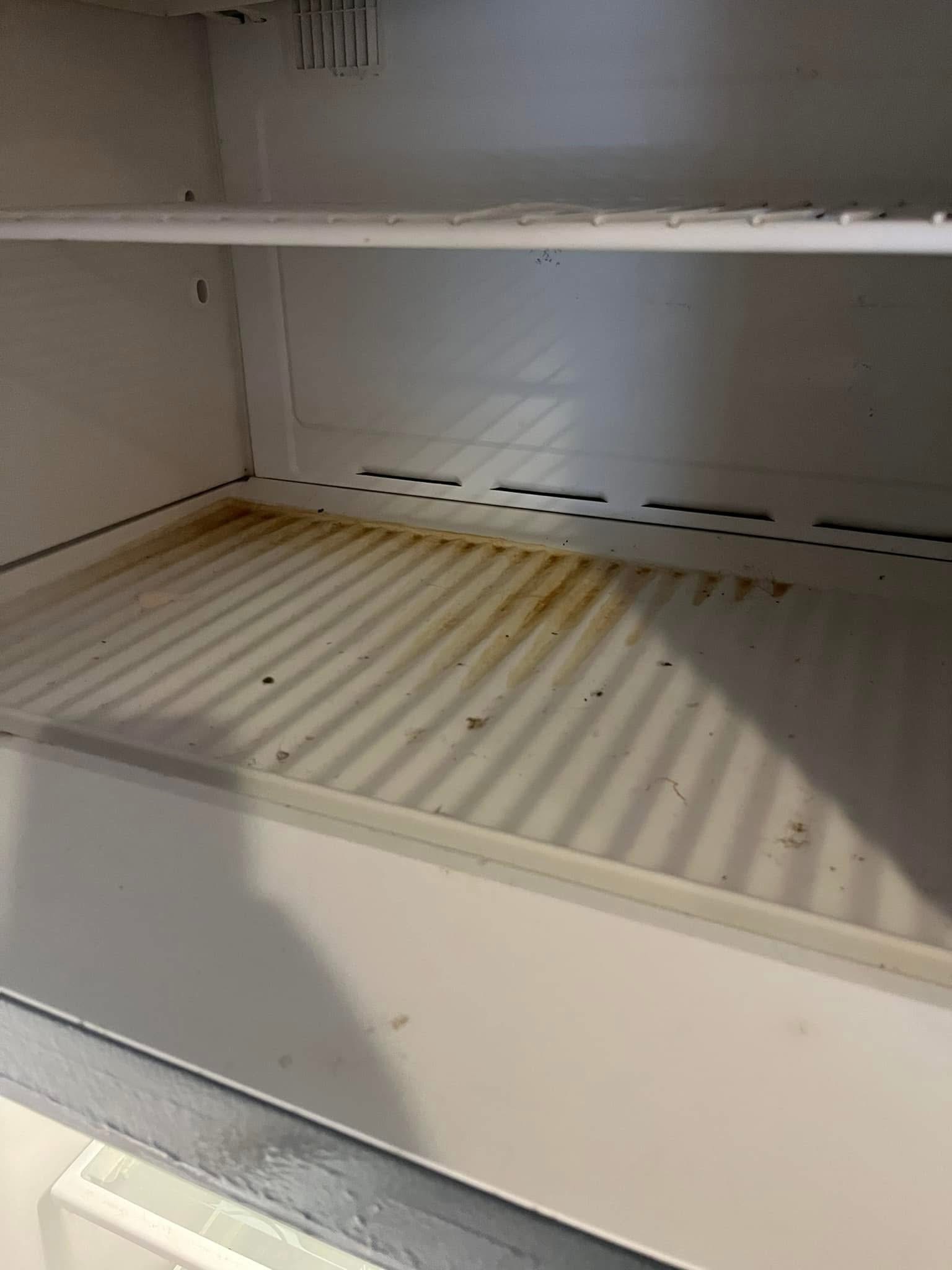 Refrigerator before cleaning